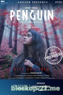 Penguin (2020)